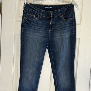 Wallflower Ultra Fit Skinny Jeans Women’s Size 13R - Slightly Cropped Ankle Jean